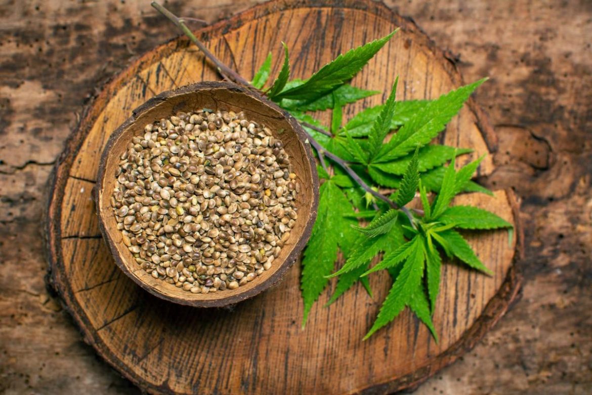WHAT YOU SHOULD KNOW ABOUT HEMP