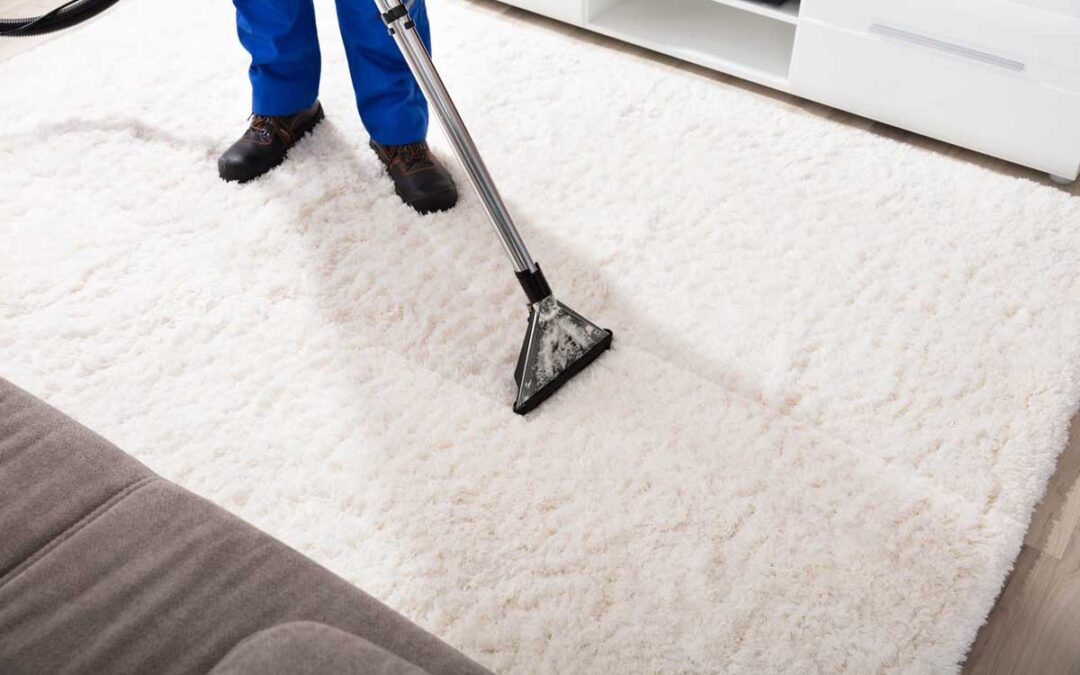 Revitalize Your Home with Grand Forks Carpet Cleaning Services