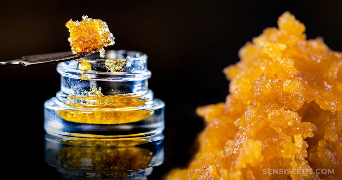 More on Diamond Live Resin: A More In-Depth Look